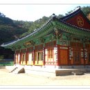 탈골암