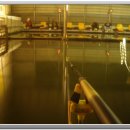 파지낚시터 이미지