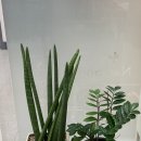 서울메이피부과의원 이미지