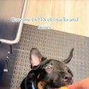 지 동물병원 이미지