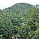 금정농장(2) 이미지