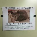 의외로 고양이 키우면 할 수 없다는 이것 이미지