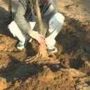 조경기능사 이미지