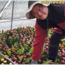 부성2농장 이미지