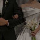 💍W-08. 감성 아이폰 스냅 디안스냅 촬영 대만족 후기