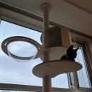 계남한의원 | 7월 4번째