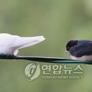 둥지광택 이미지