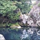 머체왓숲길영농조합 이미지