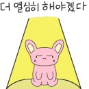 에스피티 이미지