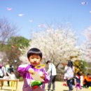 숲속둥지어린이집 이미지