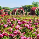 (주)천본