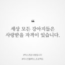 (주)테이블스토리