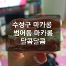 달곰마카롱 이미지