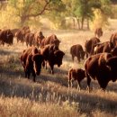 BLACK HOLE PC 이미지