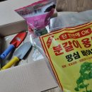 도파민 컨텐츠가 많았던 축복의 8월ꕤ