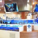 인어교주해적섬 FISH LOUNGE