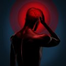 서울대효병원 이미지