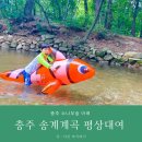 소나무숲아래 이미지