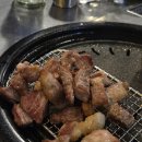 [광주 광산구] 수완지구 대구보다 맛있는 막창집 독에 빠진 돈막창 내돈내산 강추 후기