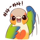 이레마트