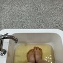 아담뷰티월드
