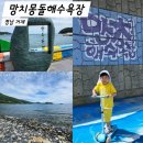 돌고래펜션민박 | 아이와 여름 거제여행 코스 추천 조용한 망치몽돌해수욕장 바다