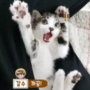 데일리목장 티브이데일리