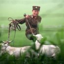 인복농장 이미지