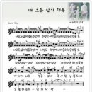 콘티