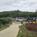 요한흑염소
