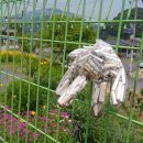 운수3리 마을회관 이미지