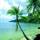 웃게해줄개 이미지