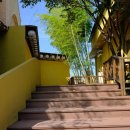 스시아시타송천 이미지