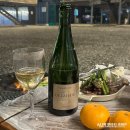 온더비치풀빌라펜션 이미지