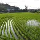 오페라뷔페 이미지