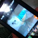 서초경찰서 이미지