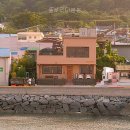 플로리다봉봉 - 25021 | 플로리다봉봉