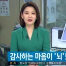 금오푸드 이미지