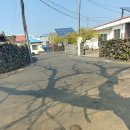 대정여자고등학교 | 제주올레11코스후기(모슬봉,정난주마리아성지,신평곶자왈)