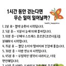 흔적으로의 여행 이미지