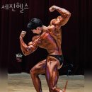 세진헬스 이미지