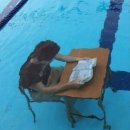 미사리 밀빛 초계국수 이미지