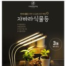 라움생