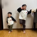 몽다다 6세 4세 초경량 여름용 바람막이 한여름에도 입기 좋은 가성비 형제룩 완전 추천 후기