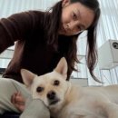 동해경찰-02 이미지