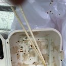 야야찐만두