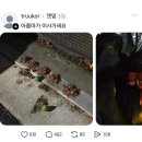 임자태권도장 | 임자 제대로 만난 캣맘 ㅋㅋ(+ 결말 추가)