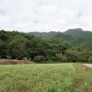 메밀꽃필무렵 이미지