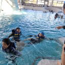 캠프도고 이미지