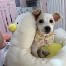 너나드리민박 | 5월은 푸르구나🍃